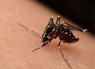 Incrementan a seis los departamentos que están en epidemia por dengue