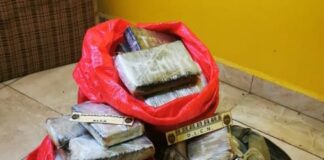 Decomisan 50 kilos de supuesta cocaína, cinco vehículos, cuatro pistolas y un fúsil en Tocoa, Colón
