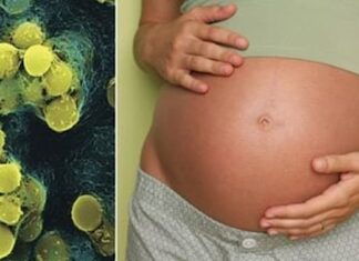 La OMS hace un llamado urgente a crear una vacuna contra una bacteria mortal para miles de bebés