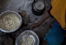 Latinoamérica no logrará objetivos contra el hambre e inseguridad alimentaria, dice la ONU