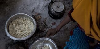 Latinoamérica no logrará objetivos contra el hambre e inseguridad alimentaria, dice la ONU