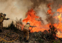 Al menos en un 37% han aumentado los incendios en el país