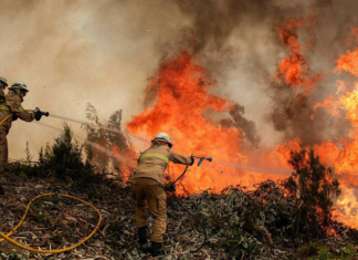 Al menos en un 37% han aumentado los incendios en el país