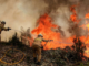Más de 1.000 hectáreas, afectadas por 70 incendios forestales en Honduras
