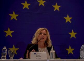 Mañana regresa a Honduras la jefa de la misión de observación electoral de la Unión Europea