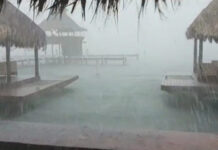 Fuertes lluvias provocan la caída de árboles e inundaciones en Islas de la Bahía