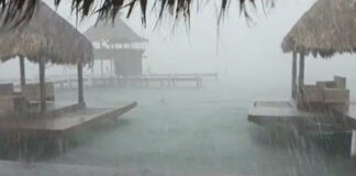 Fuertes lluvias provocan la caída de árboles e inundaciones en Islas de la Bahía