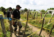 Encuentran al menos 65 cuerpos y más de cinco mil restos humanos en una fosa clandestina en México