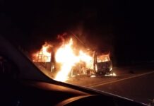 Investigan si los migrantes que murieron calcinados en un accidente en Chiapas son de origen hondureño