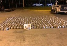 Los decomisos de droga en el país sobrepasan a los ejecutados en años anteriores