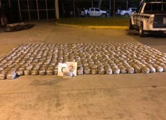 Ascienden a más de mil los paquetes de marihuana incautados en el compartimento falso de una rastra en SPS