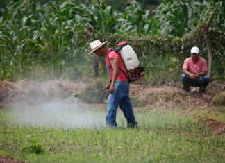 Autoridades de la Sesal alertan sobre un aumento de intoxicaciones por plaguicidas en Honduras