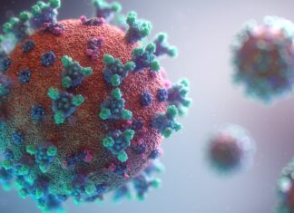La Sesal realiza vigilancia epidemiológica en los aeropuertos de Honduras por la variante Ómicron