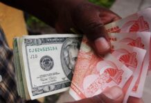 Las remesas enviadas a Honduras aumentan en un 18,9 % de enero a noviembre, según el BCH