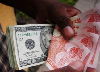Las remesas enviadas a Honduras aumentan en un 18,9 % de enero a noviembre, según el BCH