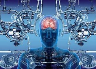 Crean los primeros robots que se autorreplican
