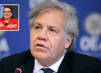 Luis Almagro felicita a la presidenta electa de Honduras, Xiomara Castro y se ofrece para trabajar en diversos temas