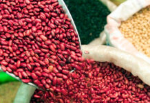 Hacia la alza el precio del maíz, frijol, pollo y embutidos en Honduras