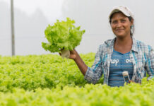 Despega en Guatemala un proyecto para mejorar alimentación en Centroamérica