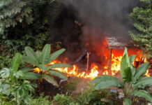 La Policía de Honduras ha incautado más de 10 toneladas de cocaína en 2021