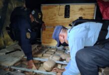 Decomisan una fuerte cantidad de droga que llevaban oculta en un camión en Choluteca