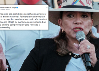 Palmerola es un contrato ilegal y será revisado y modificado en base a ley: Xiomara Castro