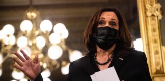 Harris anuncia 1,200 millones de inversiones privadas en Honduras, El Salvador y Guatemala