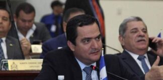 Partido Nacional dispuesto a votar contra las ZEDE´s «por el daño que causó a su campaña política»