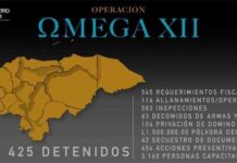 Operación Omega XII deja 425 detenidos y 545 requerimientos fiscales