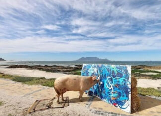 «Pigcasso» la cerda pintora y el artista animal más cotizado de la historia