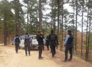 Diez personas detenidas en Danlí durante la Operación Omega XII