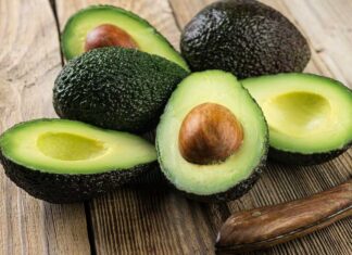EEUU autoriza importación de aguacate Hass del estado mexicano Jalisco