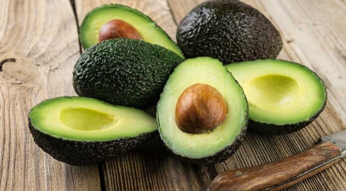EEUU autoriza importación de aguacate Hass del estado mexicano Jalisco