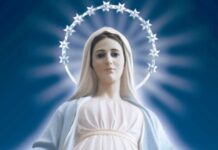 Hoy 8 de diciembre es día internacional de la Inmaculada Concepción
