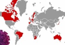 Países donde hay presencia de la variante Ómicron del Coronavirus