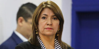 Interponen dos denuncias contra la exministra de Salud Alba Consuelo Flores
