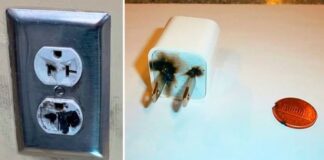 Alexa, el asistente virtual de Amazon, pide a una niña de 10 años que toque un enchufe con una moneda