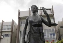 Diputado de Libre afirma que el Pleno de la CSJ estudia la posibilidad de presentar su renuncia antes de la toma de posesión