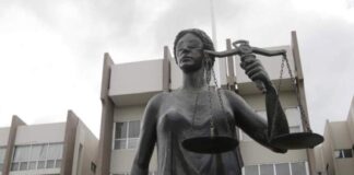 Diputado de Libre afirma que el Pleno de la CSJ estudia la posibilidad de presentar su renuncia antes de la toma de posesión