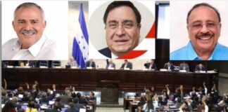 El CN nombra como “diputados vitalicios” a Ramos Soto, Lara Watson y Óscar Nájera