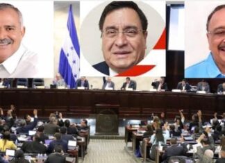 El CN nombra como “diputados vitalicios” a Ramos Soto, Lara Watson y Óscar Nájera