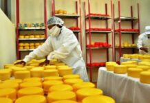 Mipymes necesitan de incentivos para impulsar recuperación de empleos