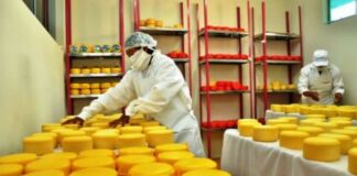 Mipymes necesitan de incentivos para impulsar recuperación de empleos