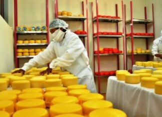 Mipymes necesitan de incentivos para impulsar recuperación de empleos