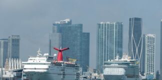 Todos los cruceros en EE. UU. presentan contagio del Covid-19