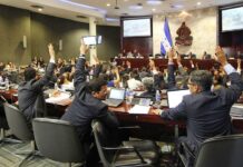 Aprueban una reforma que permite a los diputados suplentes ganar el 60% de salario por participar en las sesiones del CN