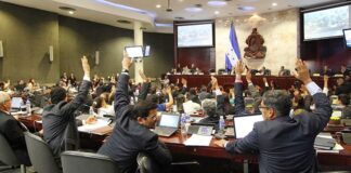 Aprueban una reforma que permite a los diputados suplentes ganar el 60% de salario por participar en las sesiones del CN