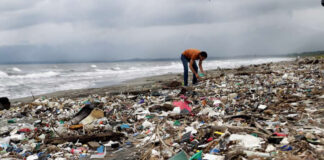 Guatemala afirma que controló el flujo de desechos sólidos que llegan a las playas de Honduras