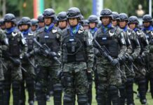 Las FFAA confirman que el monograma de la institución será cambiado al color azul turquesa de la Bandera Nacional