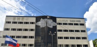 STENEE pide al gobierno de Xiomara Castro, eliminar la gerencia y nombrar una junta interventora